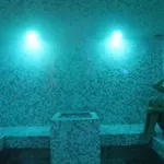 The Hive Hotel