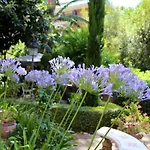 Villa Matissa Apartments