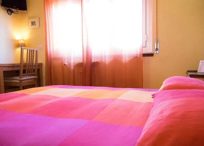 Belon B&B