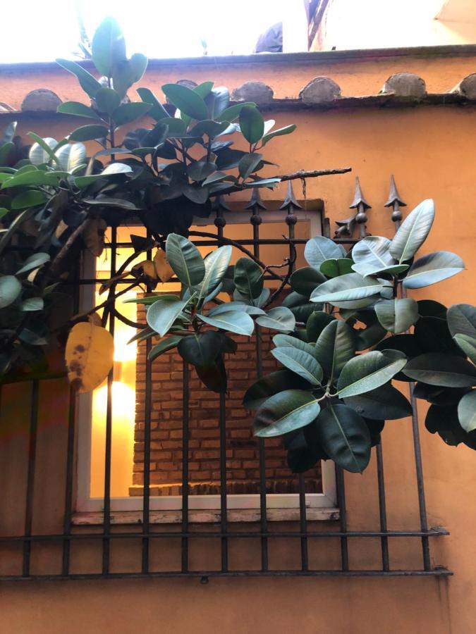Pantheon, Campo De Fiori Mini Garden Appartamento