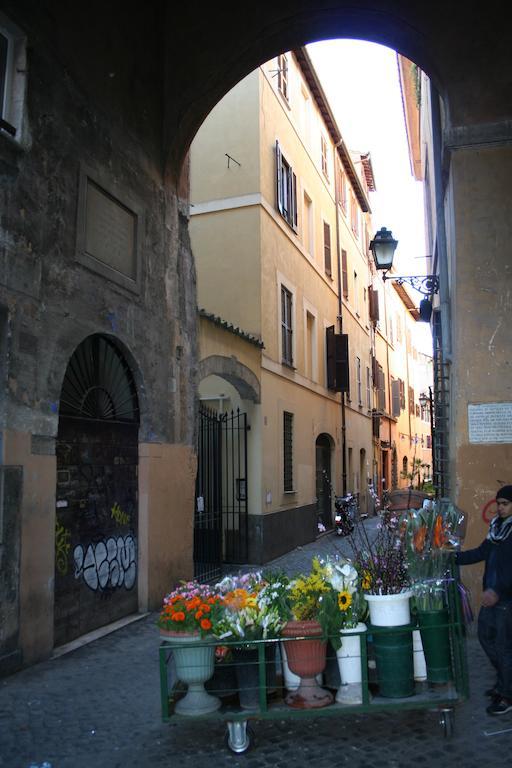 Apartamento Del Campo *