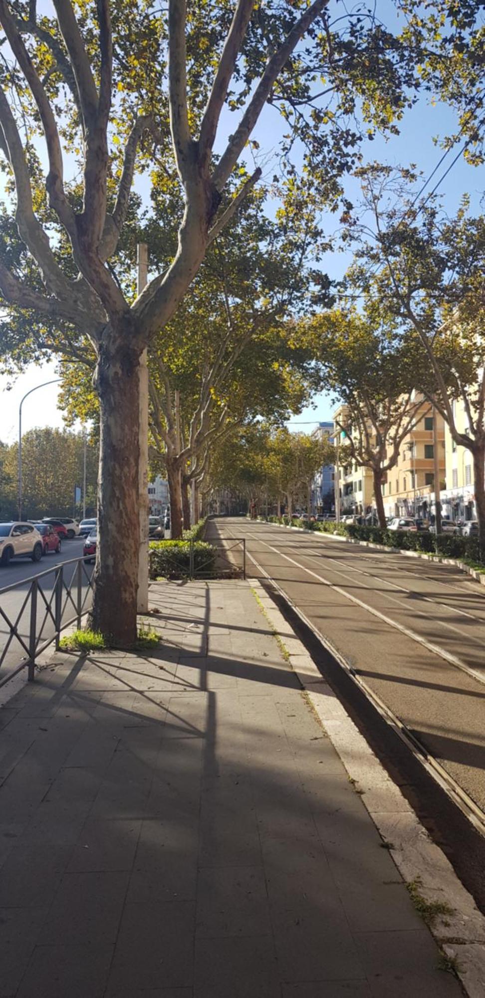 Trastevere Residenze Hospedagem domiciliar