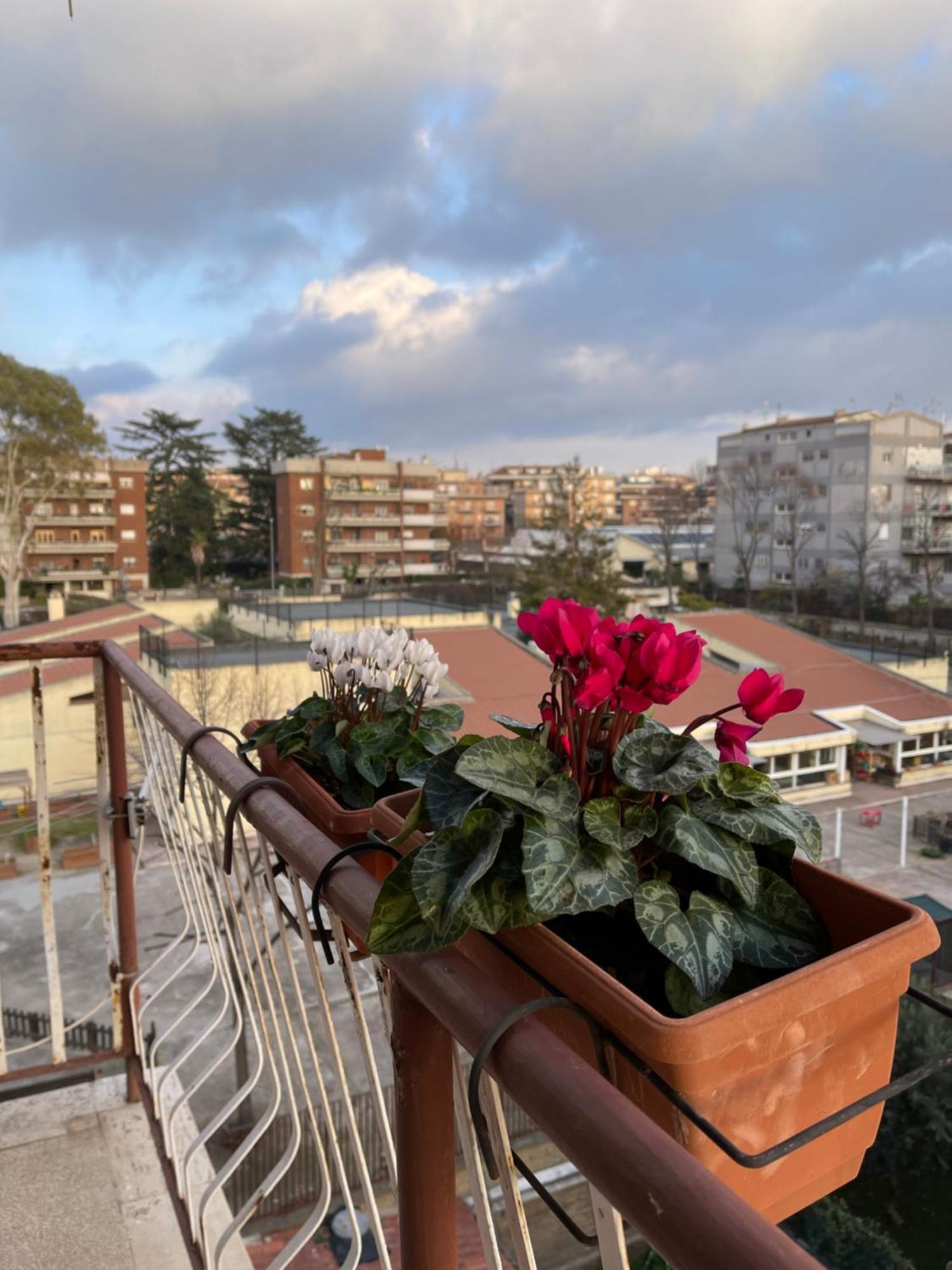 Ilaria's Roma