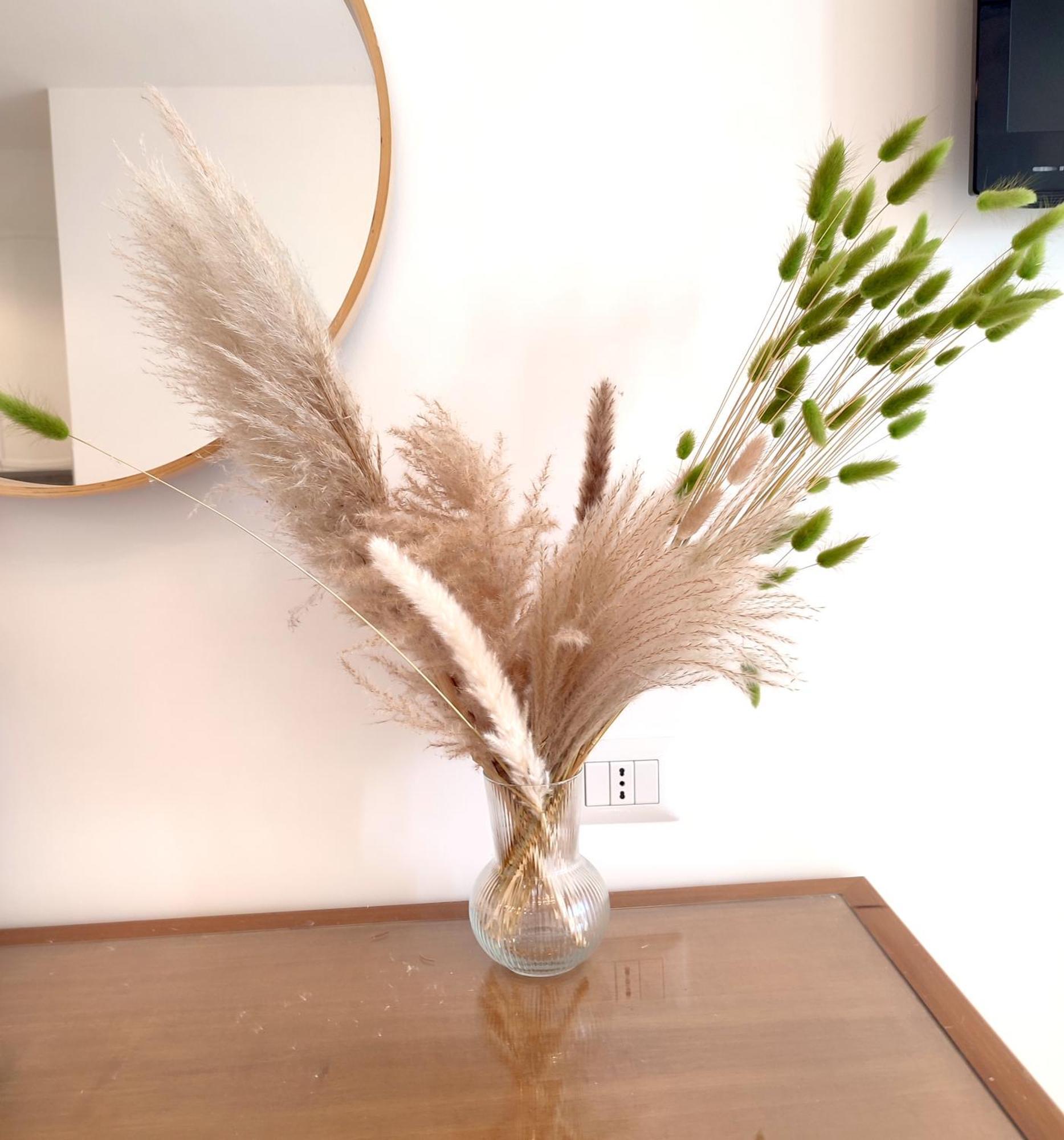 Nest Roma