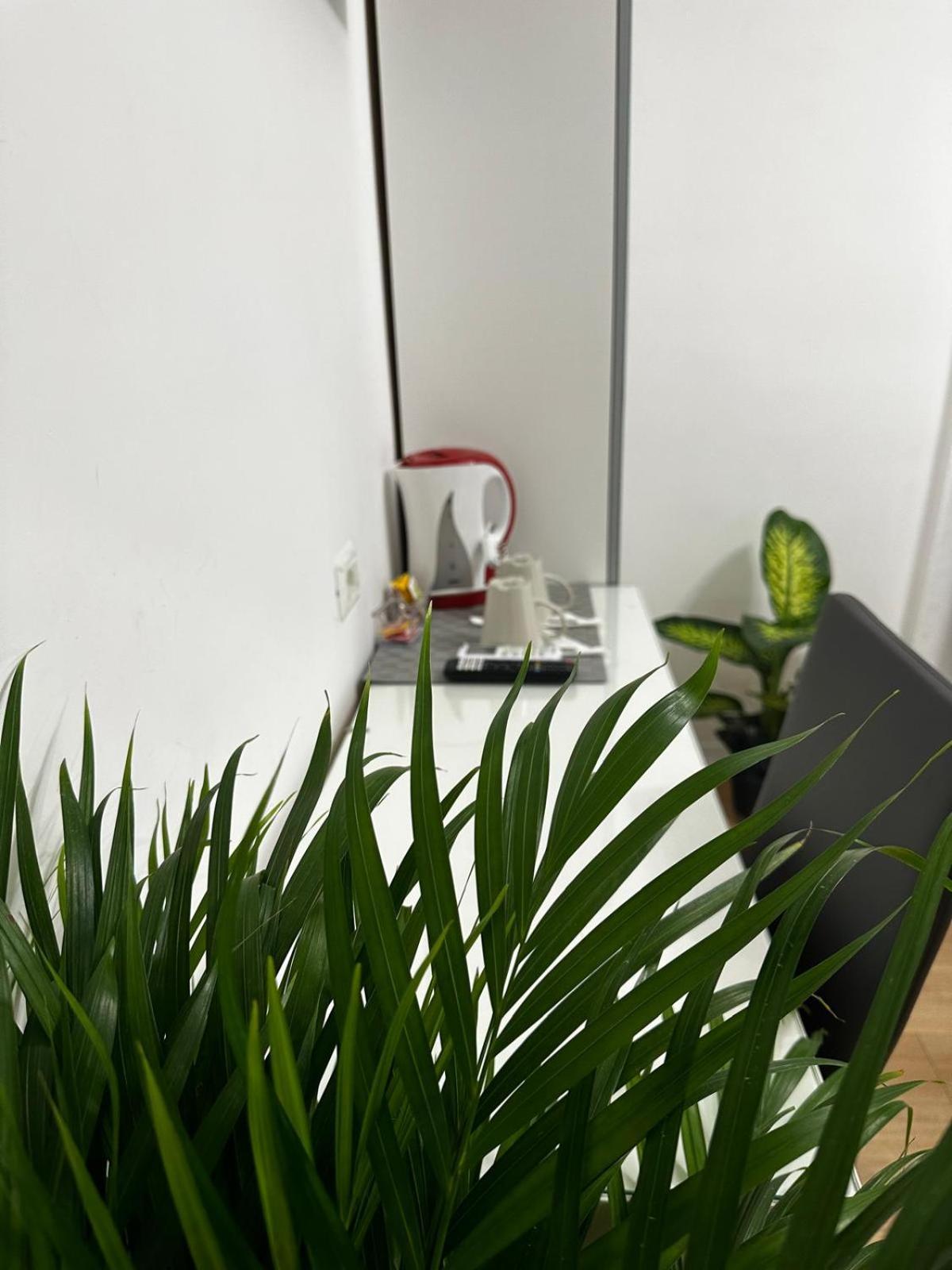 Rome Holiday Guesthouse Affittacamere