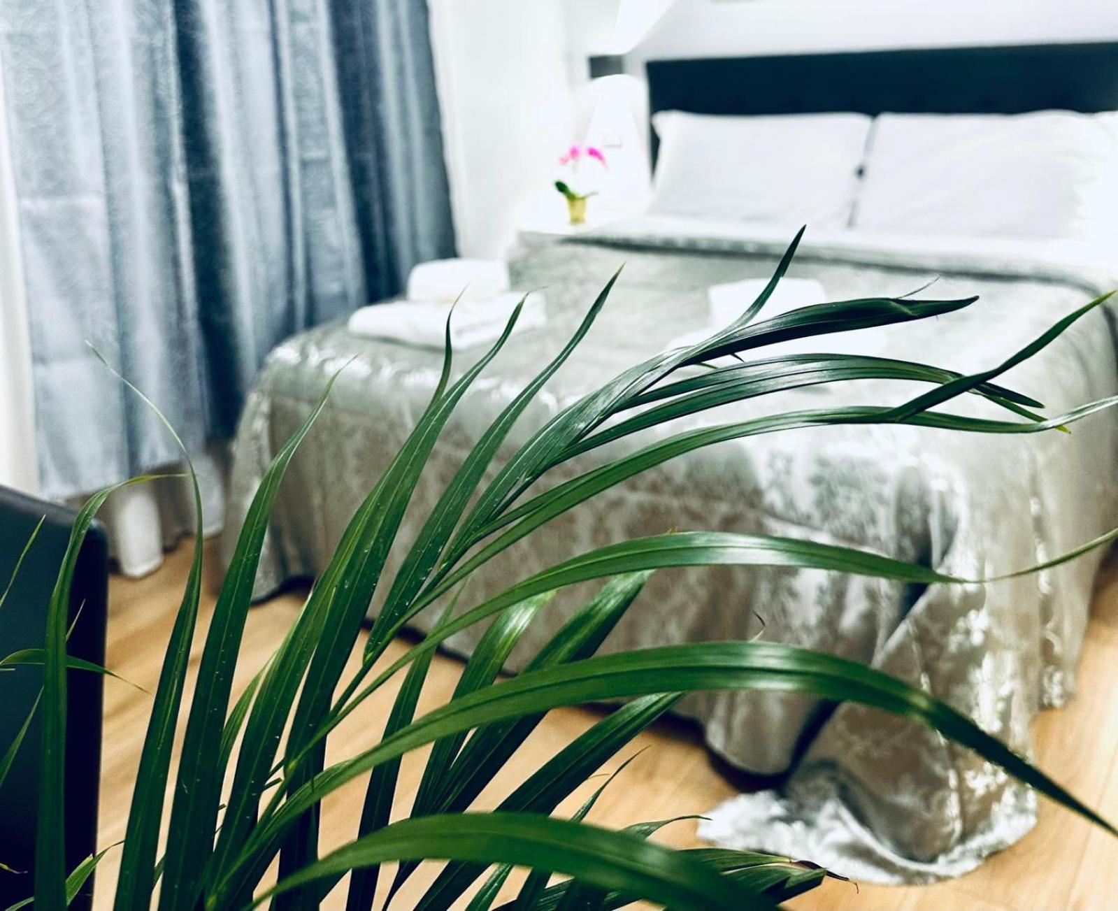 Rome Holiday Guesthouse Affittacamere Roma