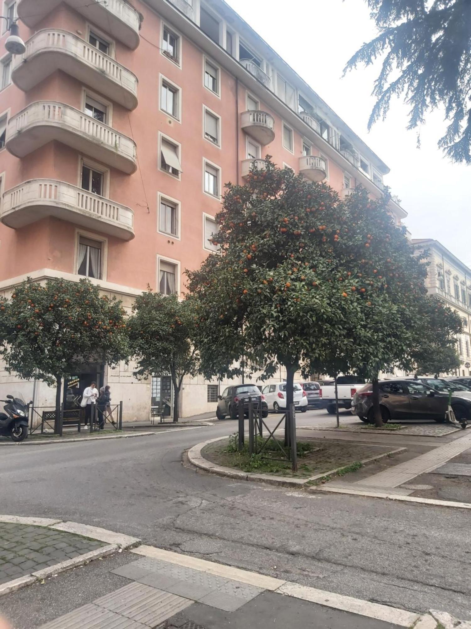 Appartamento Holiday Colosseum *
