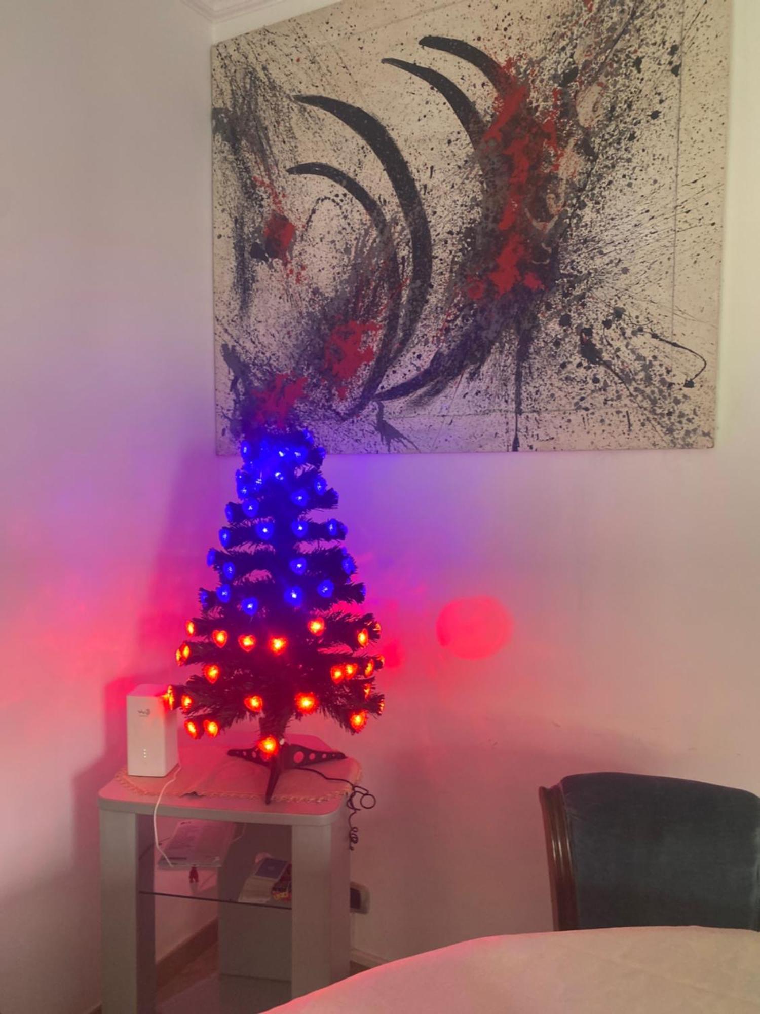 Appartamento Casa Colibri