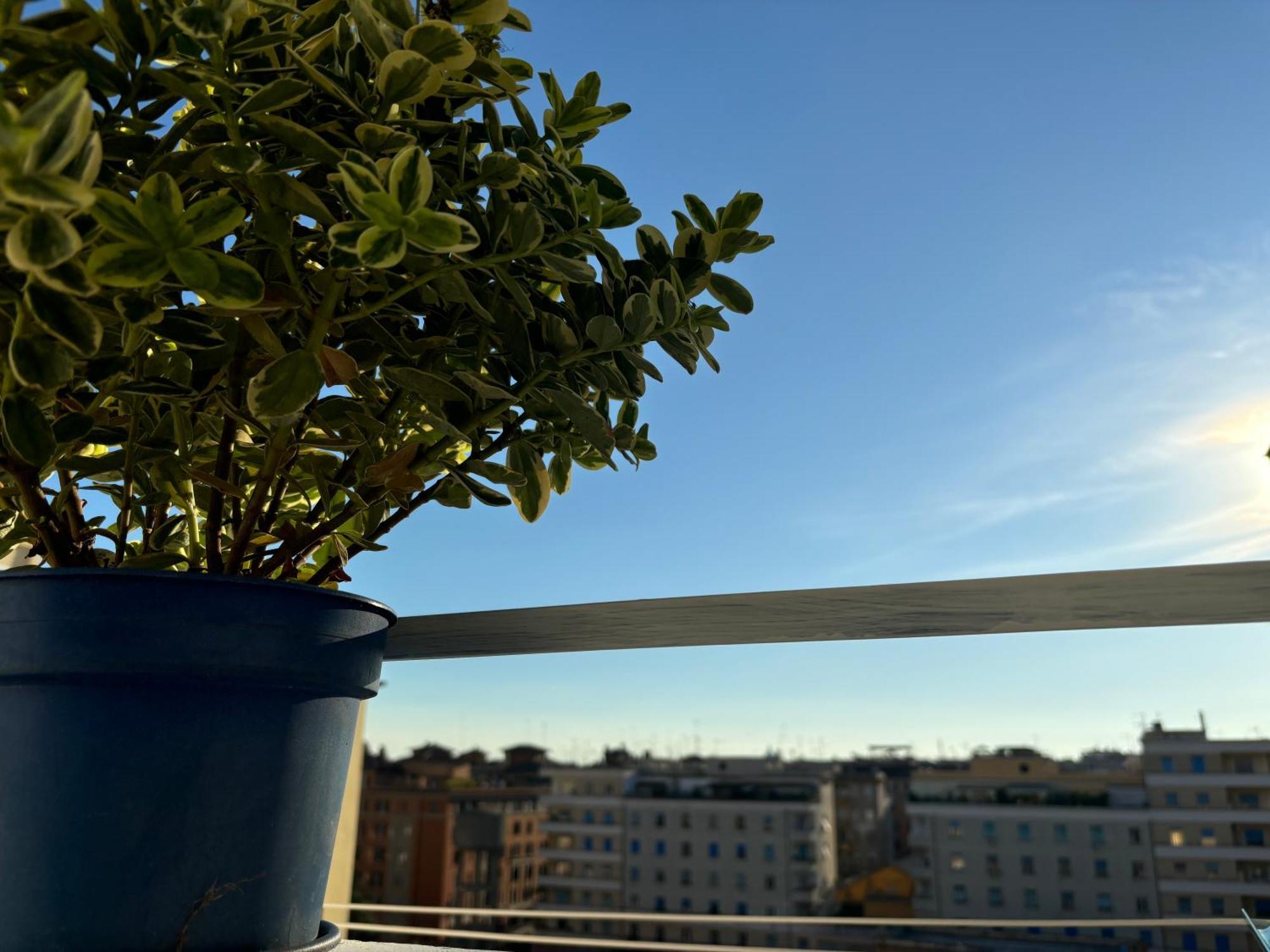 Living Flaminio - Ad Uso Turistico Affittacamere *