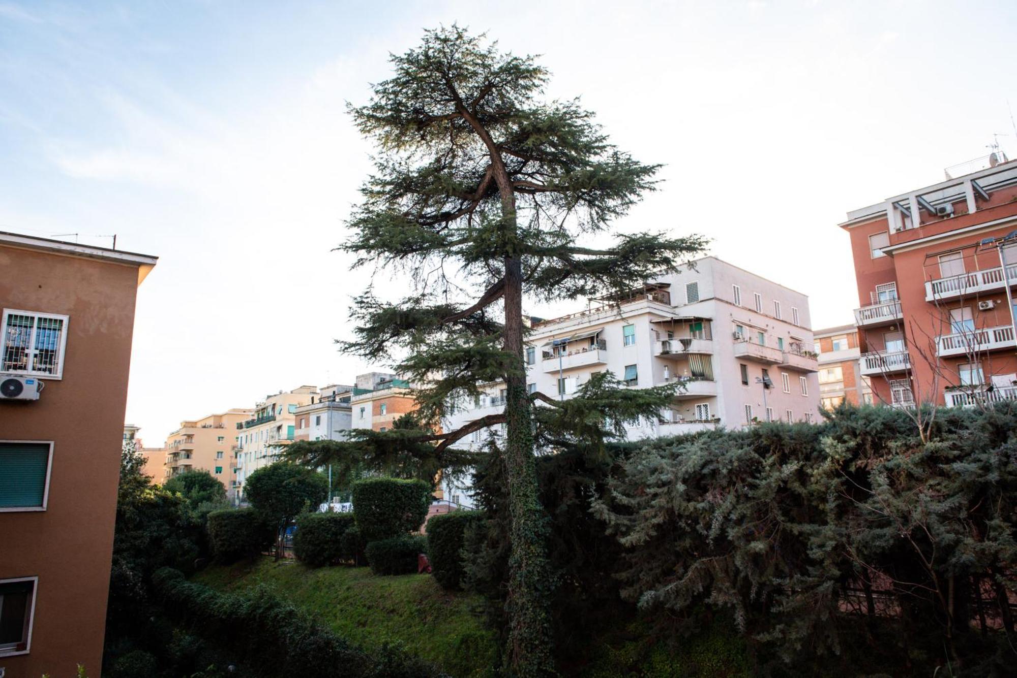 Apartamento Casa Di Oscar