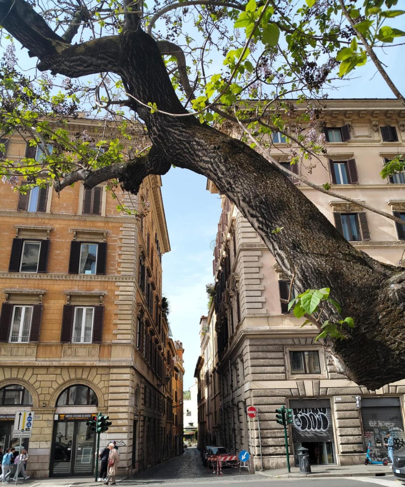 Vatican Near Sweet Terrace Apartment Rome