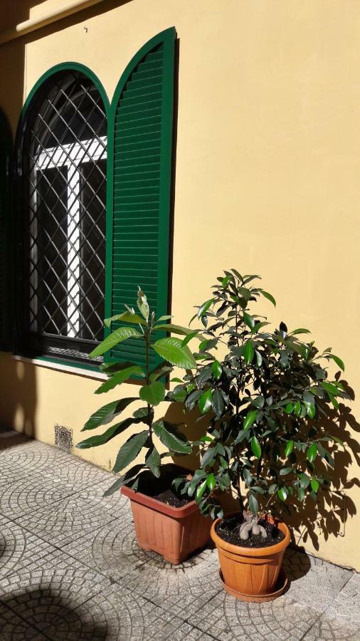 Loft Campani * Roma