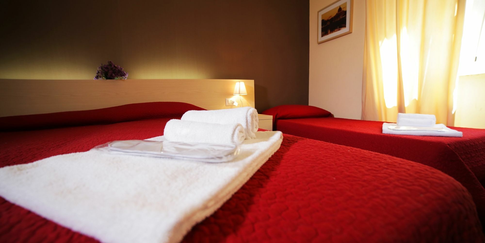 Vatican Bed & Breakfast 2*