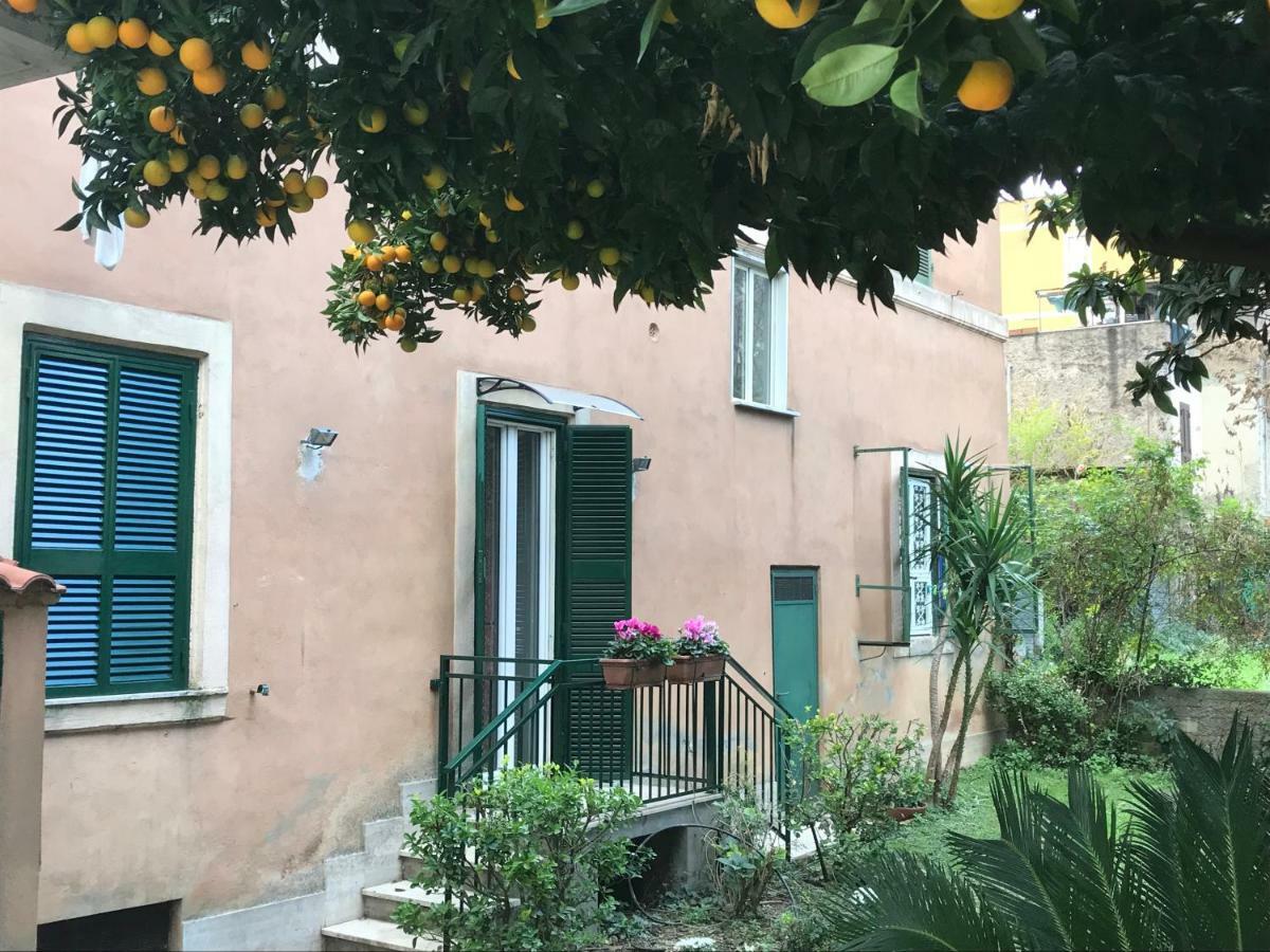 La Casa Del Nespolo Appartamento Roma