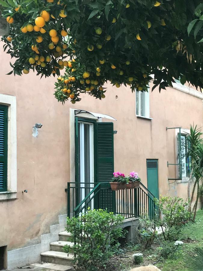 La Casa Del Nespolo Roma