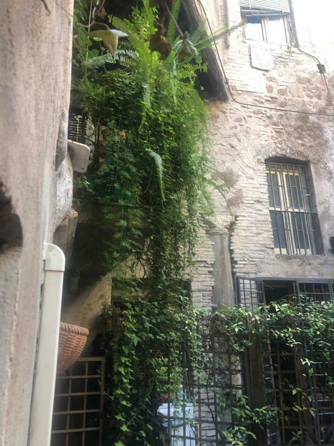 Pantheon, Campo De Fiori Mini Garden * Roma