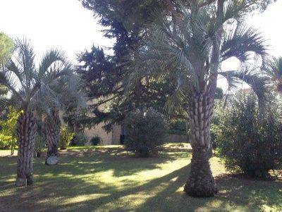 Tabor 3*