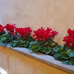 Vicolo Navona