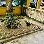L\'Oleandro Di Alfredo