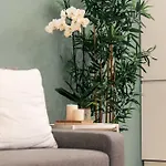 Emma Bliss Apartment