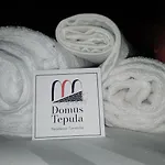 Domus Tepula 1