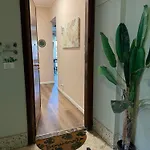 Monstera House Roma Trastevere