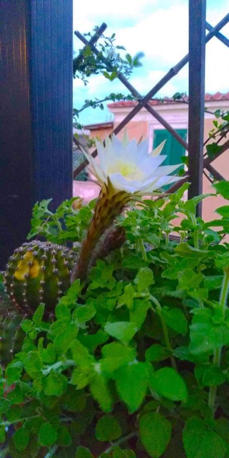 Fiore Appartamento *