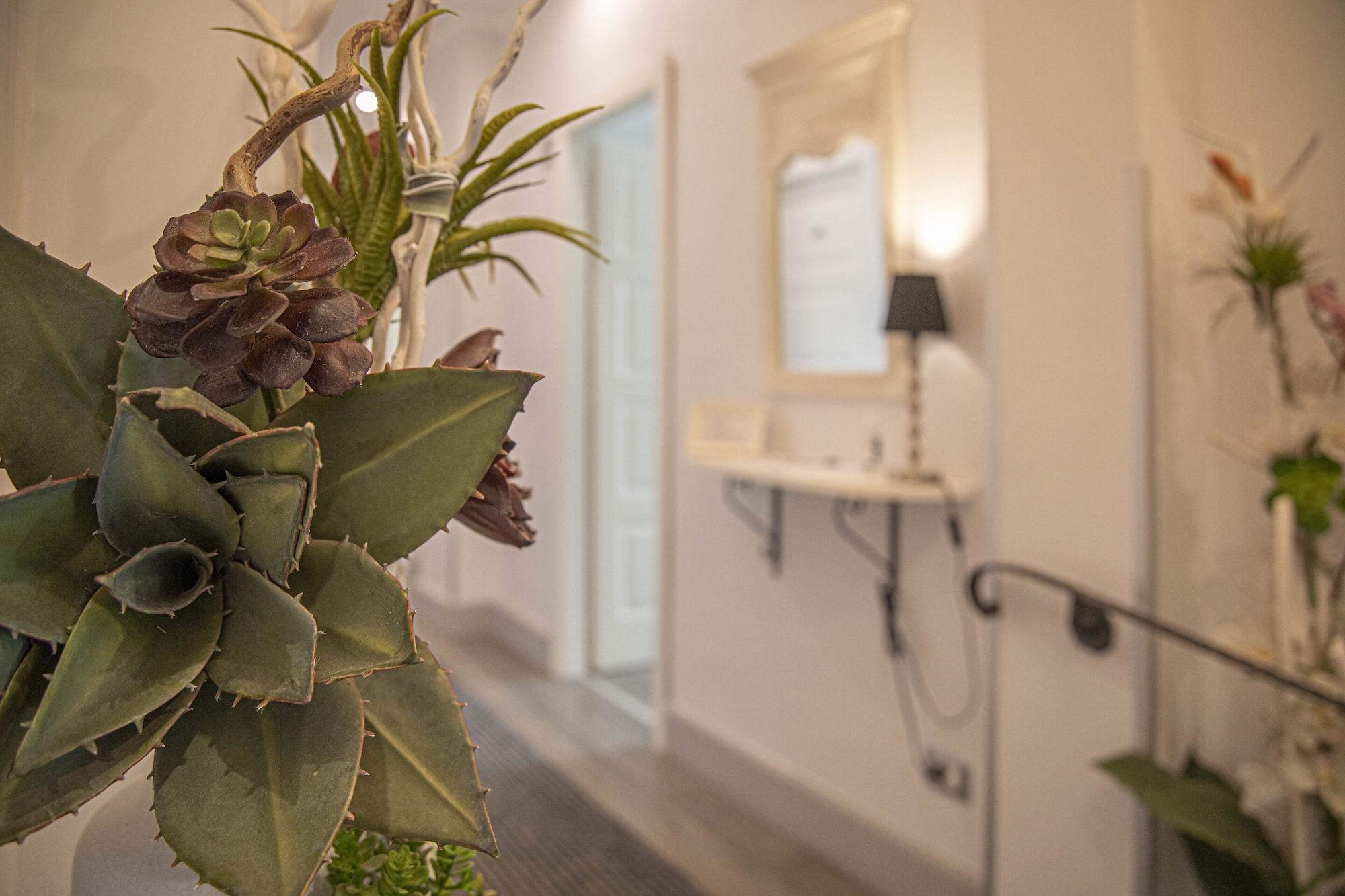 Bed & Breakfast Domus Castrense Roma