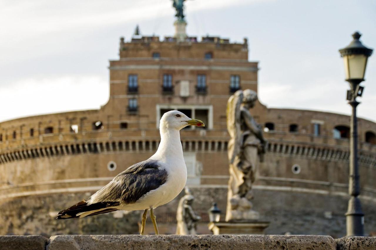 Casa de hóspedes Vatican