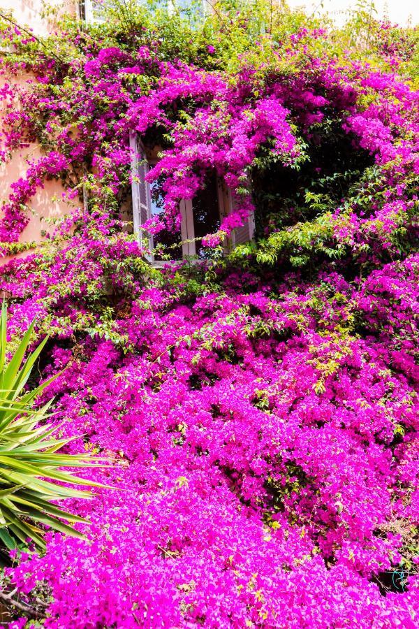 Appartamento Orti 27 Garden Trastevere - Vacation M&d Roma