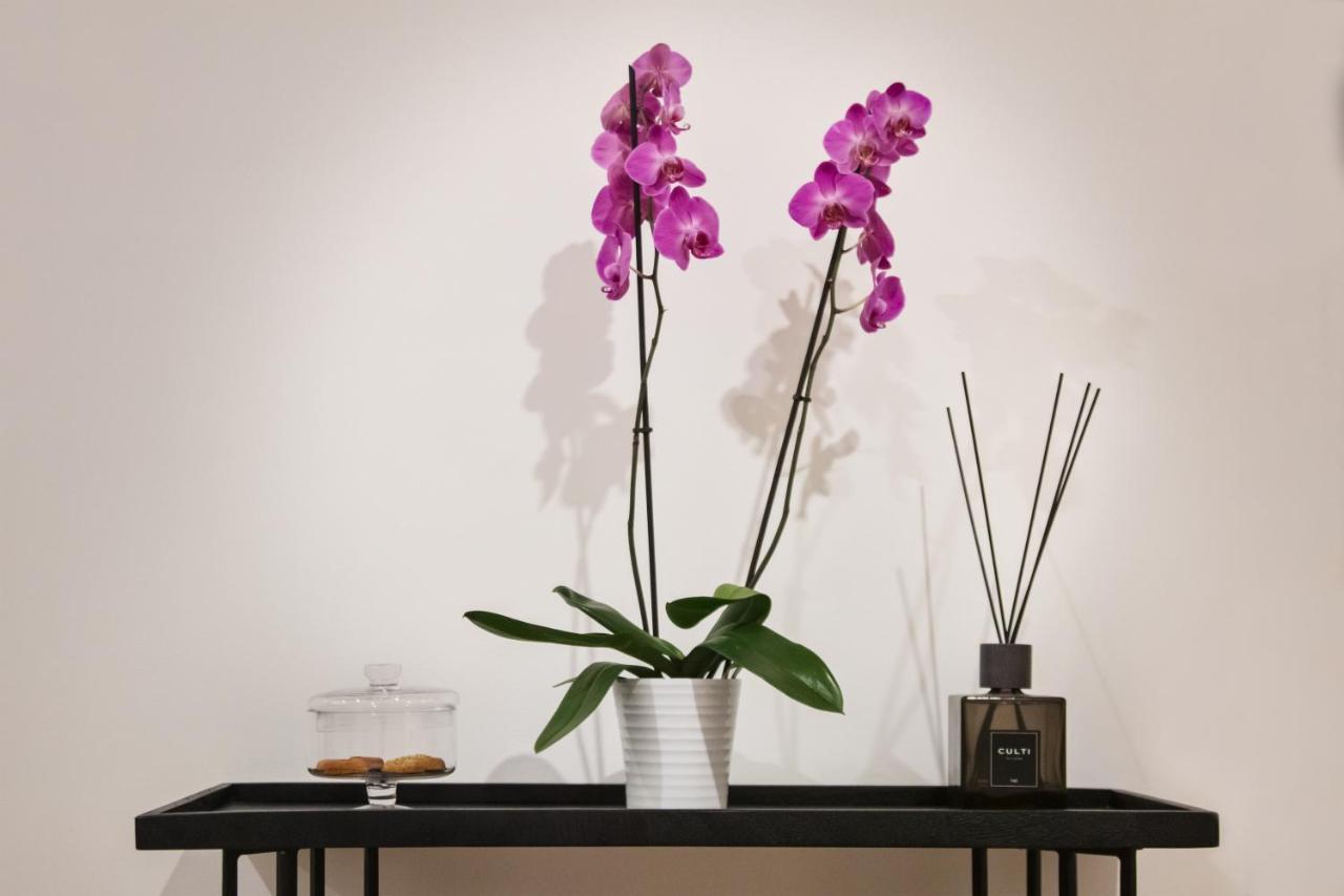Fellini Design Gjestgiverier Roma