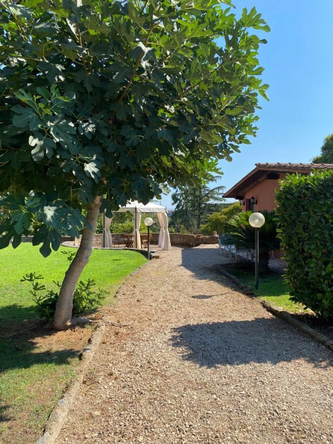 Villaer La Casa Di Irene Nel Golf Club