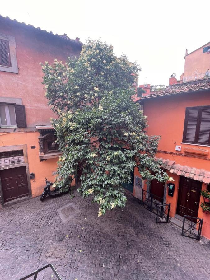 Domus Remi Apartamento *