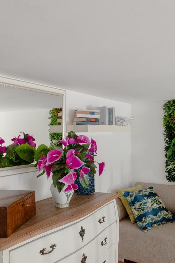 Apartamento My In The Center *