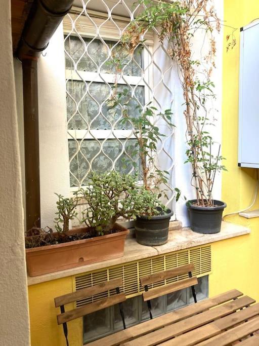 Vatican Vacation Interno 2 Apartment *