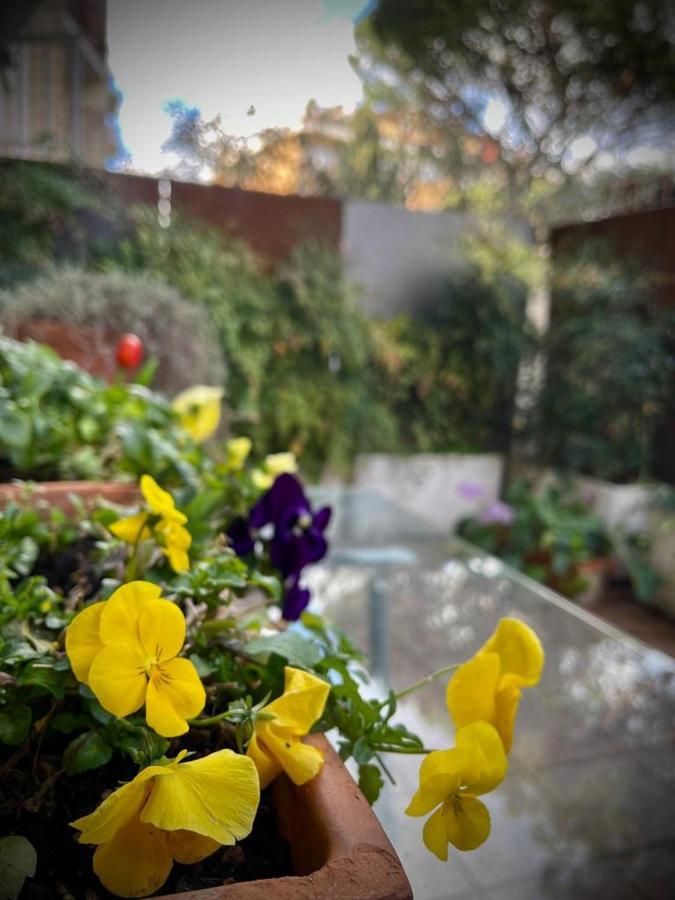 Garden House Roma