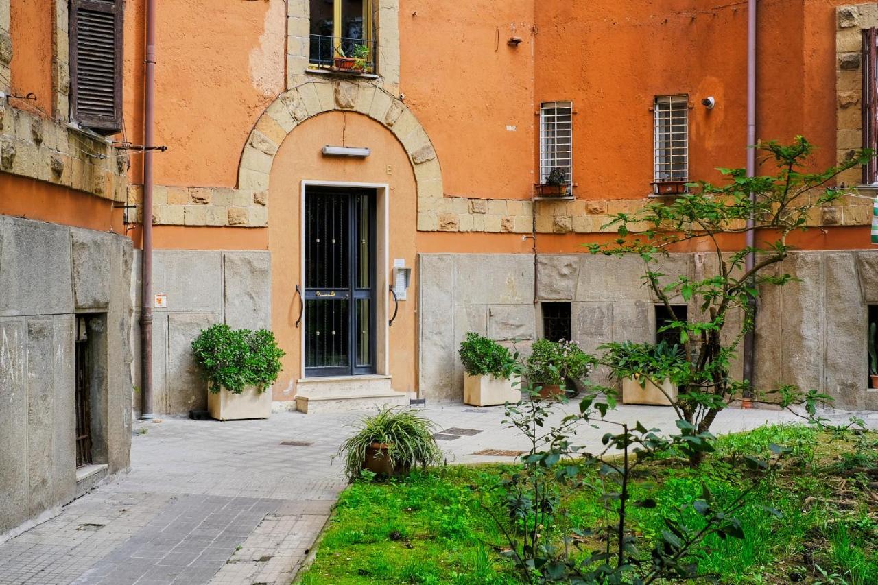 Remuria Domus * Roma