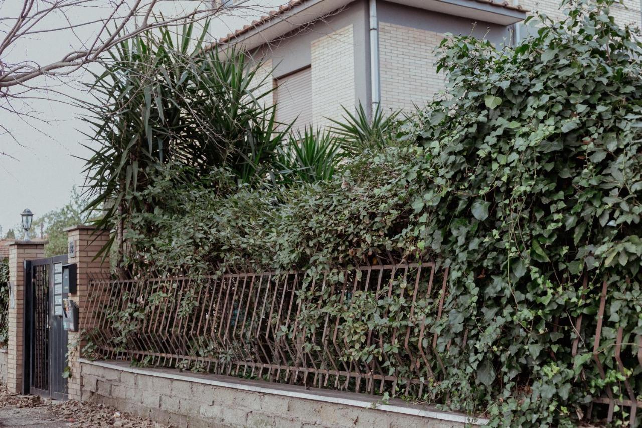 La Casa Di Grazia Apartment