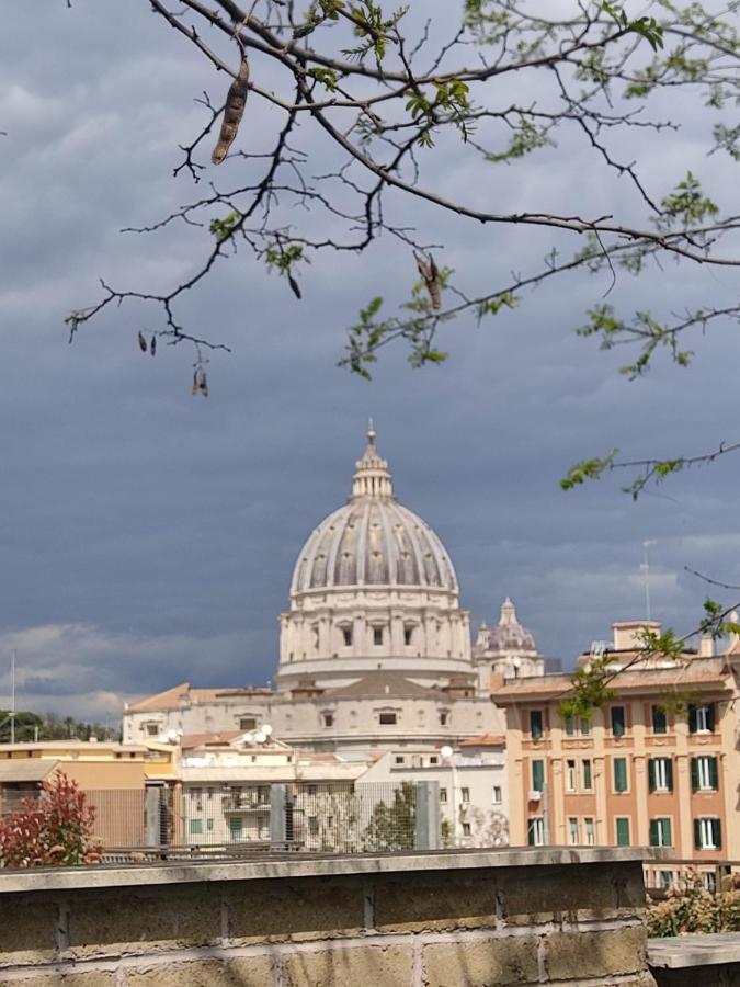 Vatican Heart Leone Terrace *