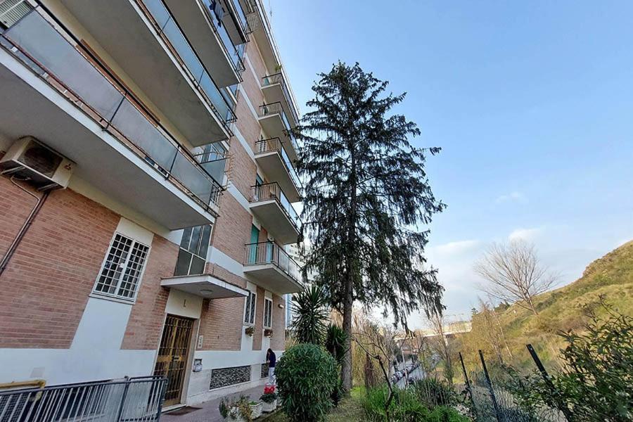Affittacamere La Casa Di Flavia