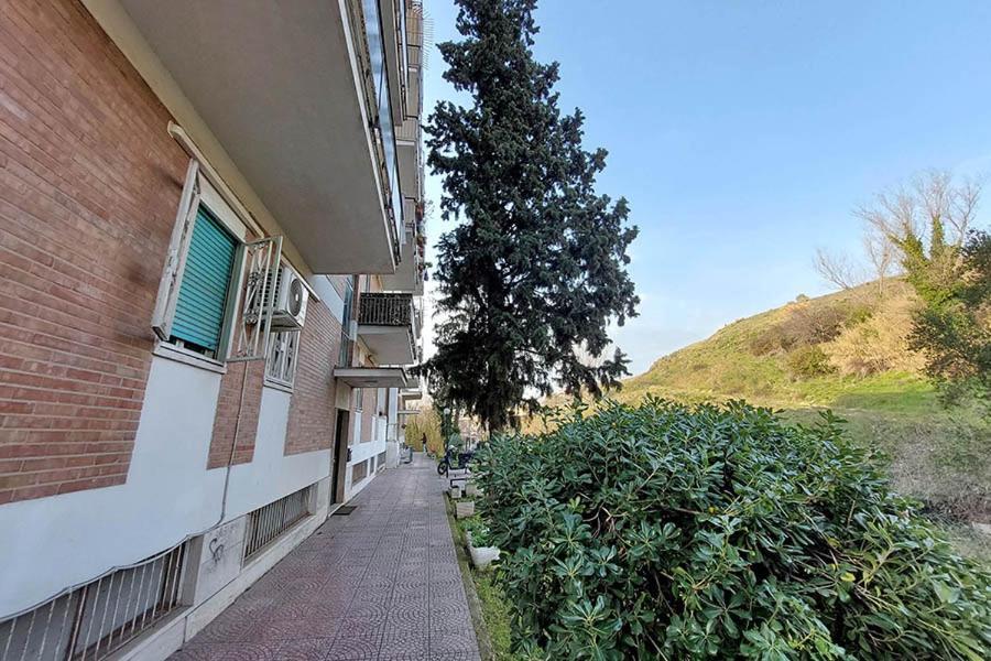 Affittacamere La Casa Di Flavia Roma