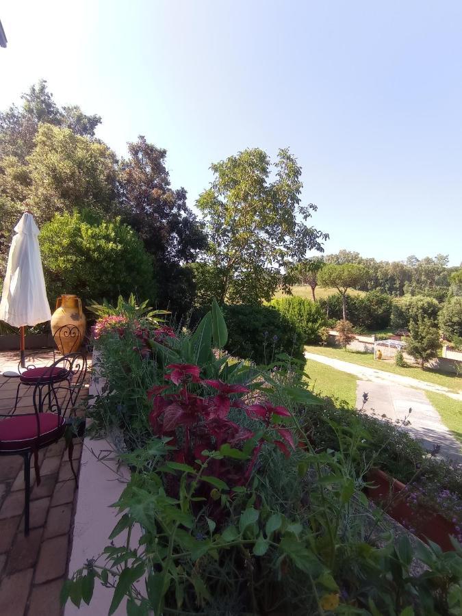 The Olive Grove Pousada Roma