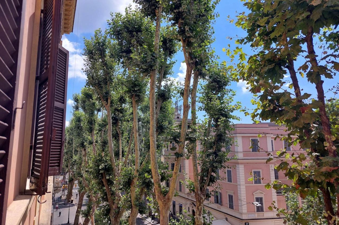 Cozy Merulana * Roma