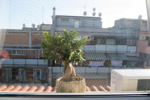 Bed & Breakfast Letto E Latte 2*