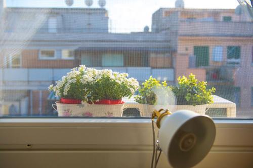 Bed & Breakfast Letto E Latte 2*