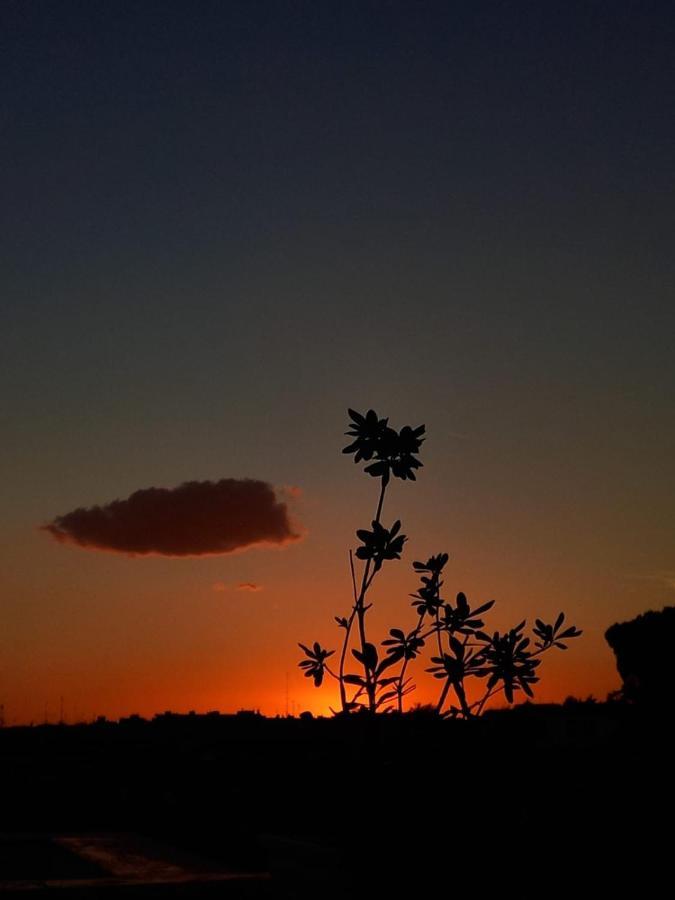 Leilighet Il Tramonto *