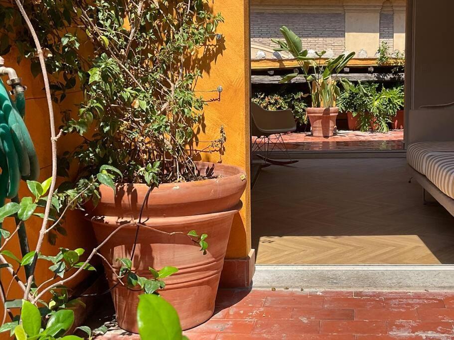 Attico Con Due Terrazze Al Pantheon, Apartamento