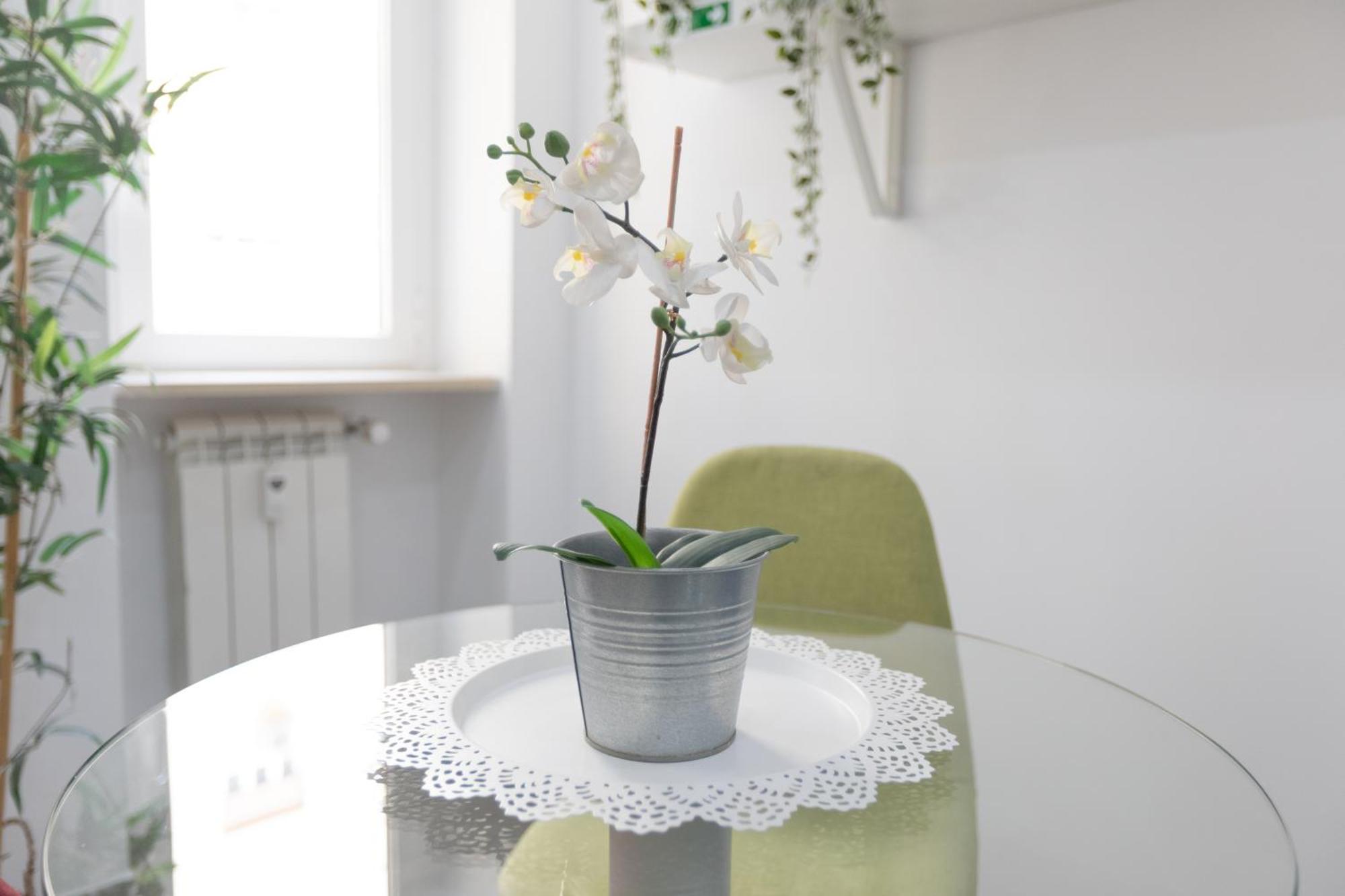 247 Luxury Trastevere 2*