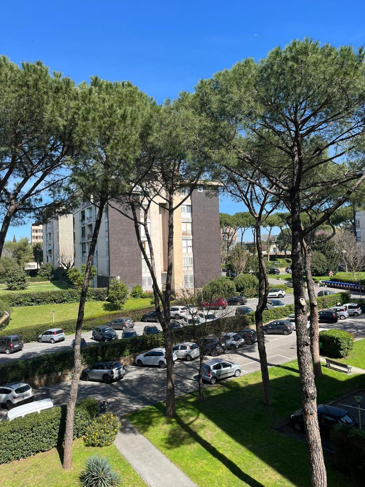 Umanesimo * Roma
