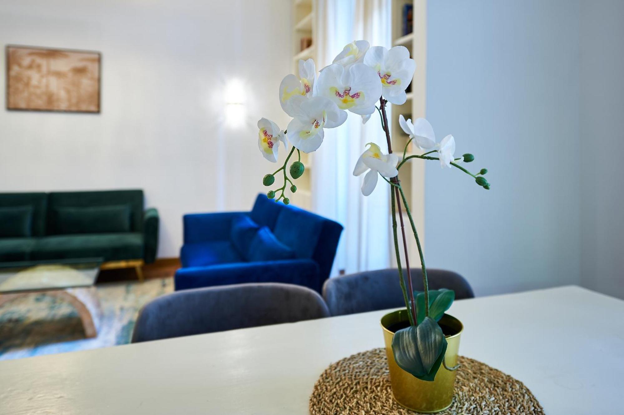 Irex Vatican Private Roma
